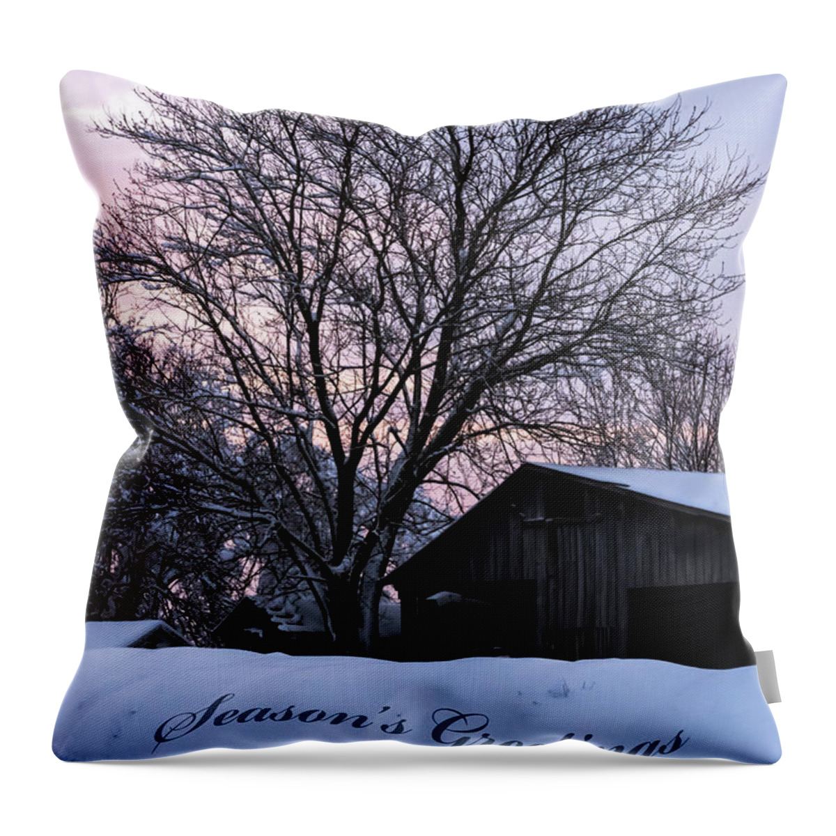 Farm Throw Pillow featuring the photograph Season's Greetings - Farm by Holden The Moment