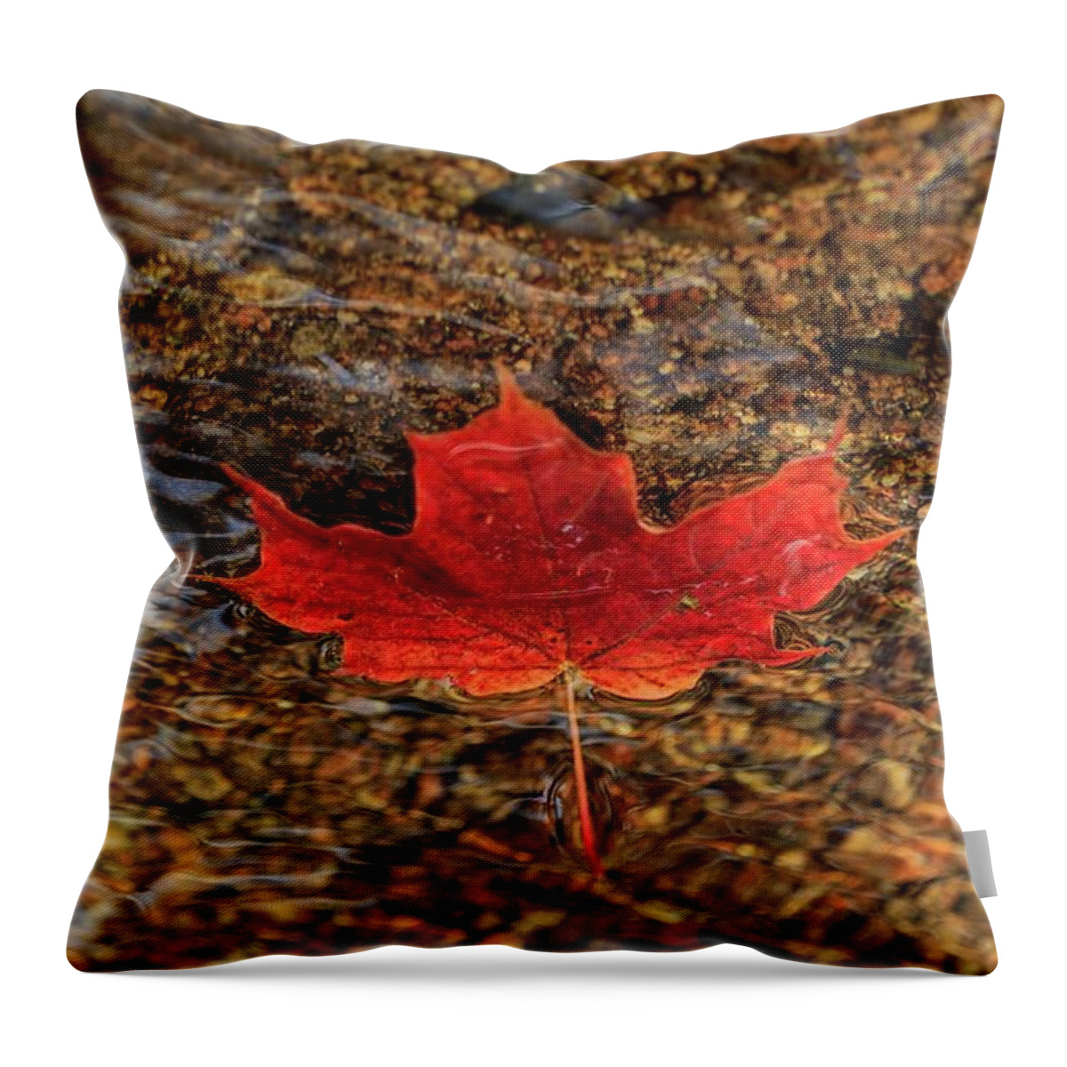 Fall Throw Pillow featuring the photograph Seasons by Rob Davies
