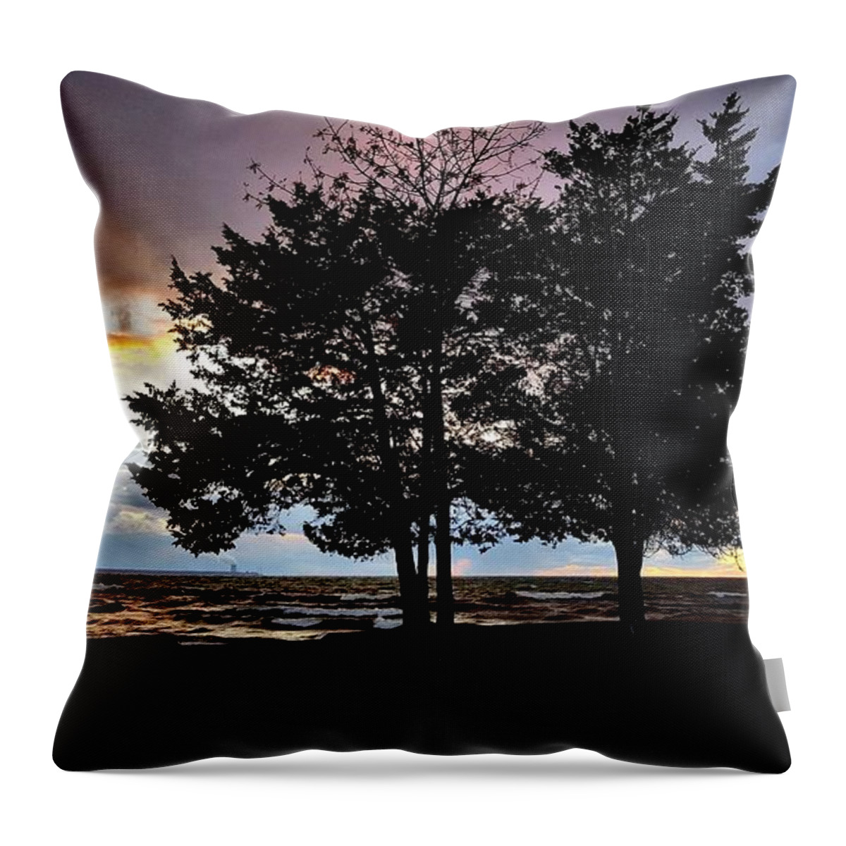 Moods Throw Pillow featuring the photograph Second Visit by Dani McEvoy