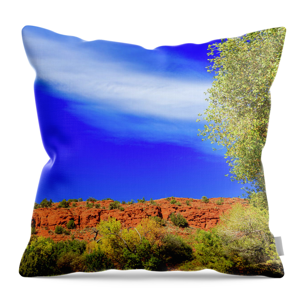 Arizona Throw Pillow featuring the photograph Sedona Fall by Raul Rodriguez
