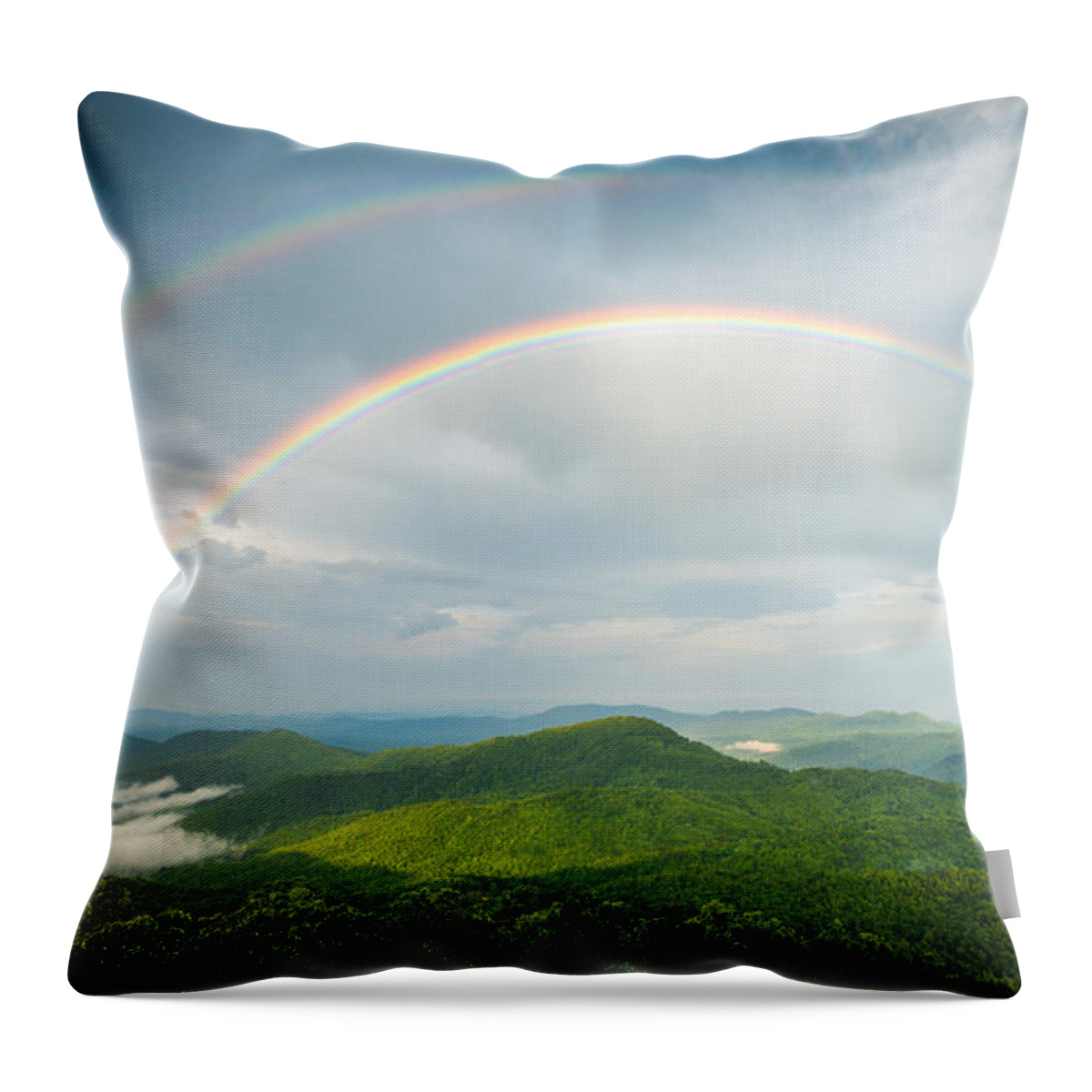 Asheville Throw Pillow featuring the photograph Seeing Double by Joye Ardyn Durham