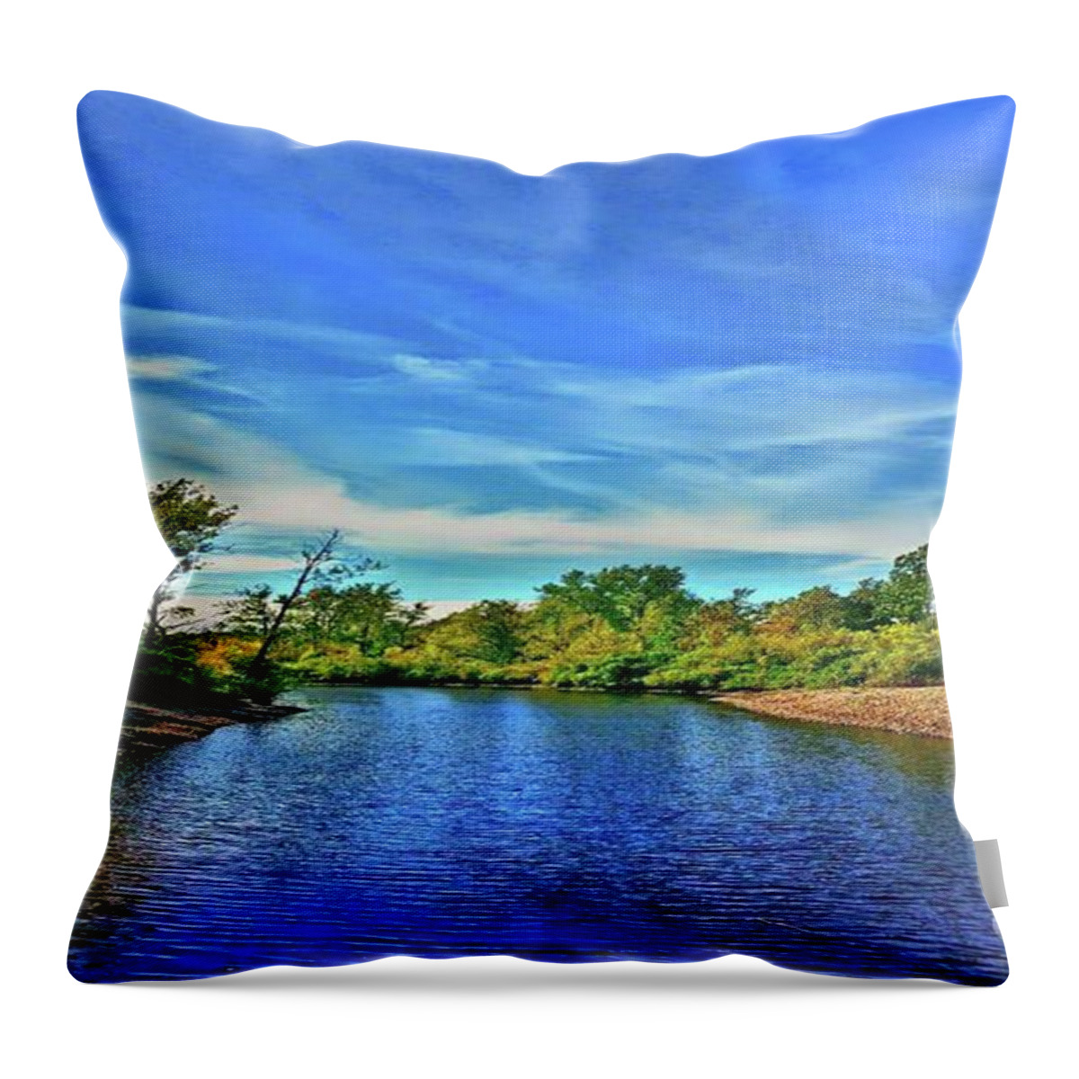 Creek Throw Pillow featuring the photograph Selkirk Shores by Dani McEvoy