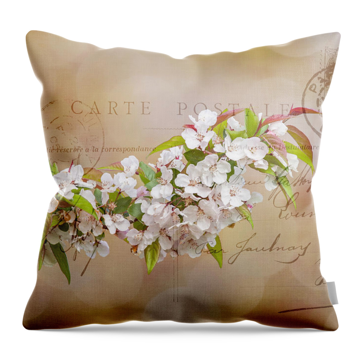 Apple Throw Pillow featuring the photograph Sending Spring by Cathy Kovarik
