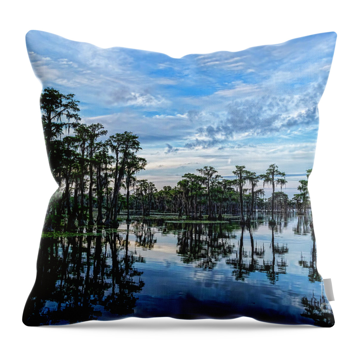 Landscapes Throw Pillow featuring the photograph Serenity by DB Hayes