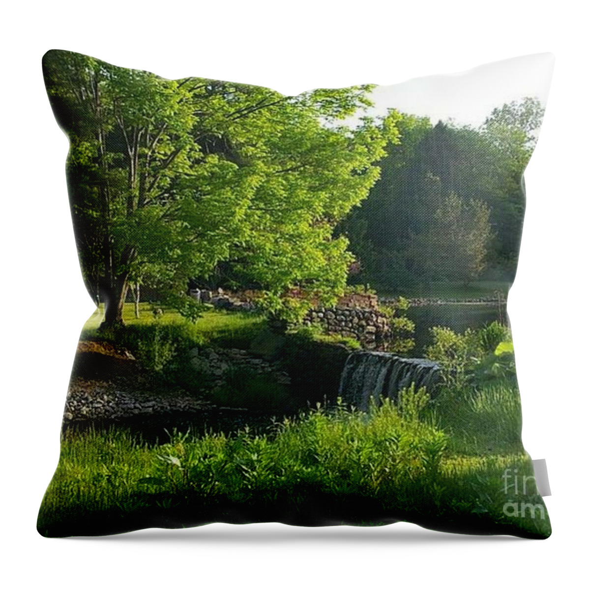 Landscape Throw Pillow featuring the photograph Serenity by Dani McEvoy