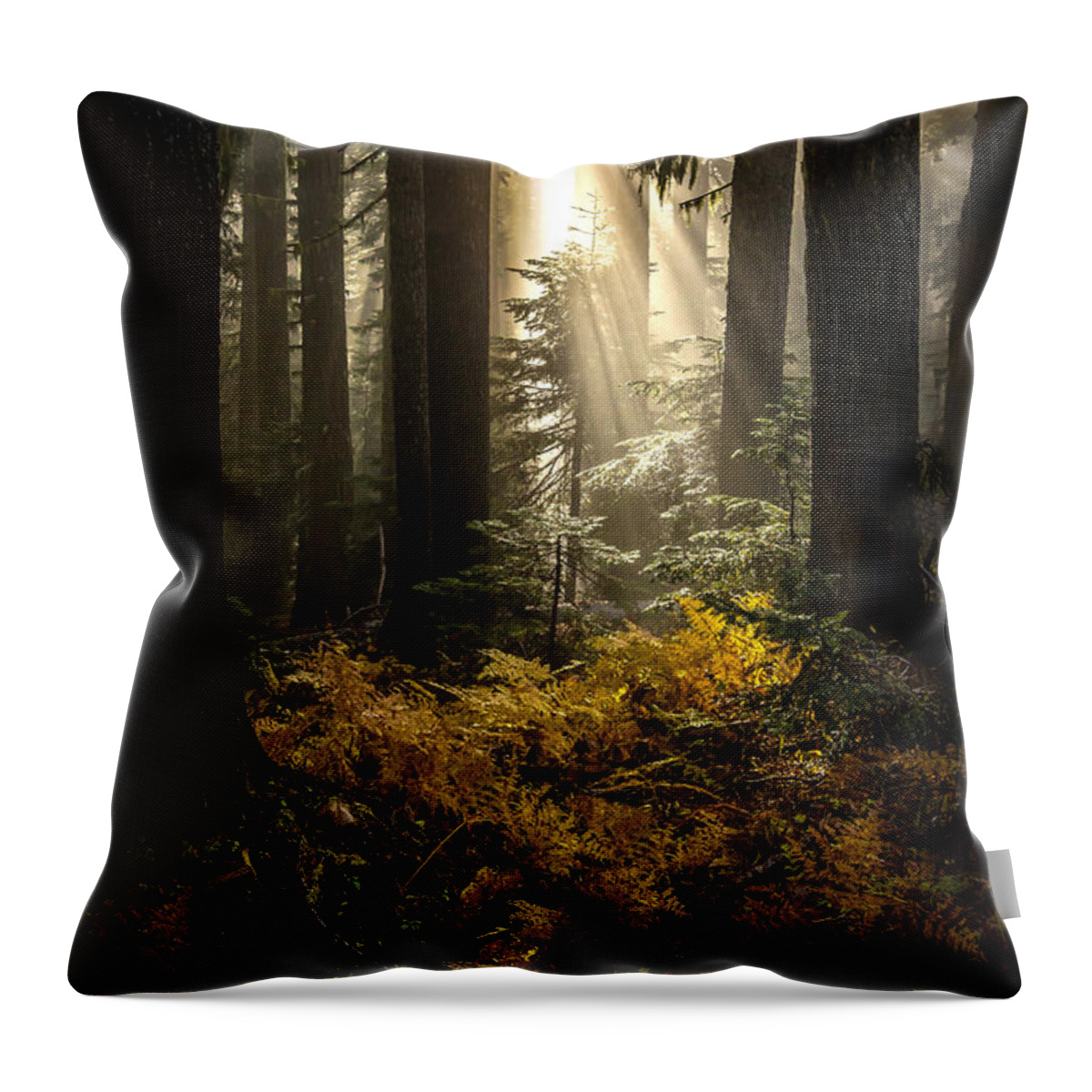 Serenity Throw Pillow featuring the photograph Serenity by Ryan Smith