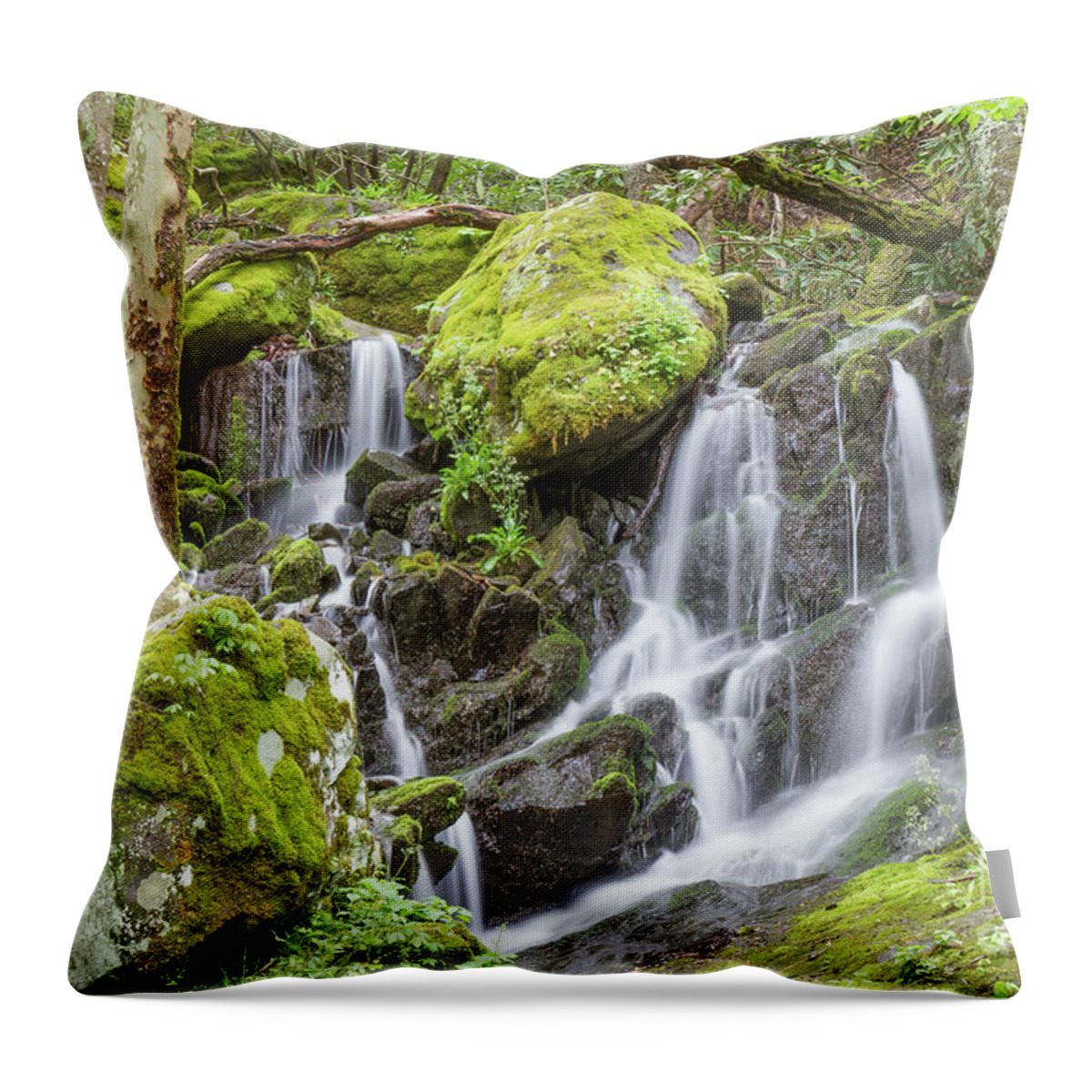 Serenity Station Throw Pillow featuring the photograph Serenity Station by Chris Scroggins