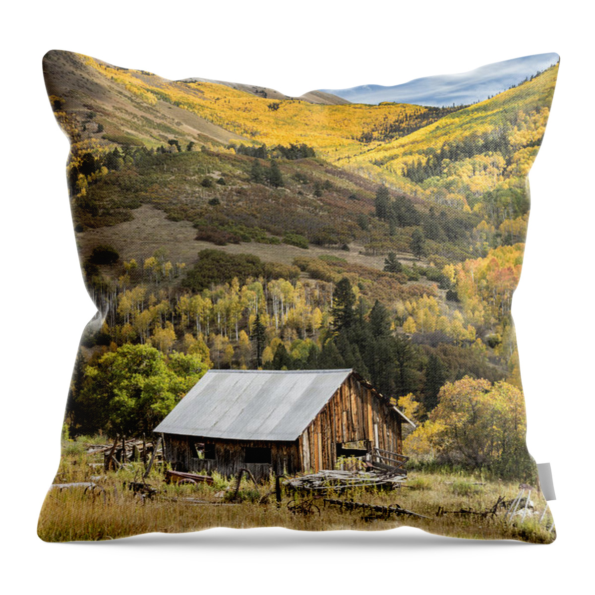 Autumn Throw Pillow featuring the photograph Shack with Relics by Denise Bush