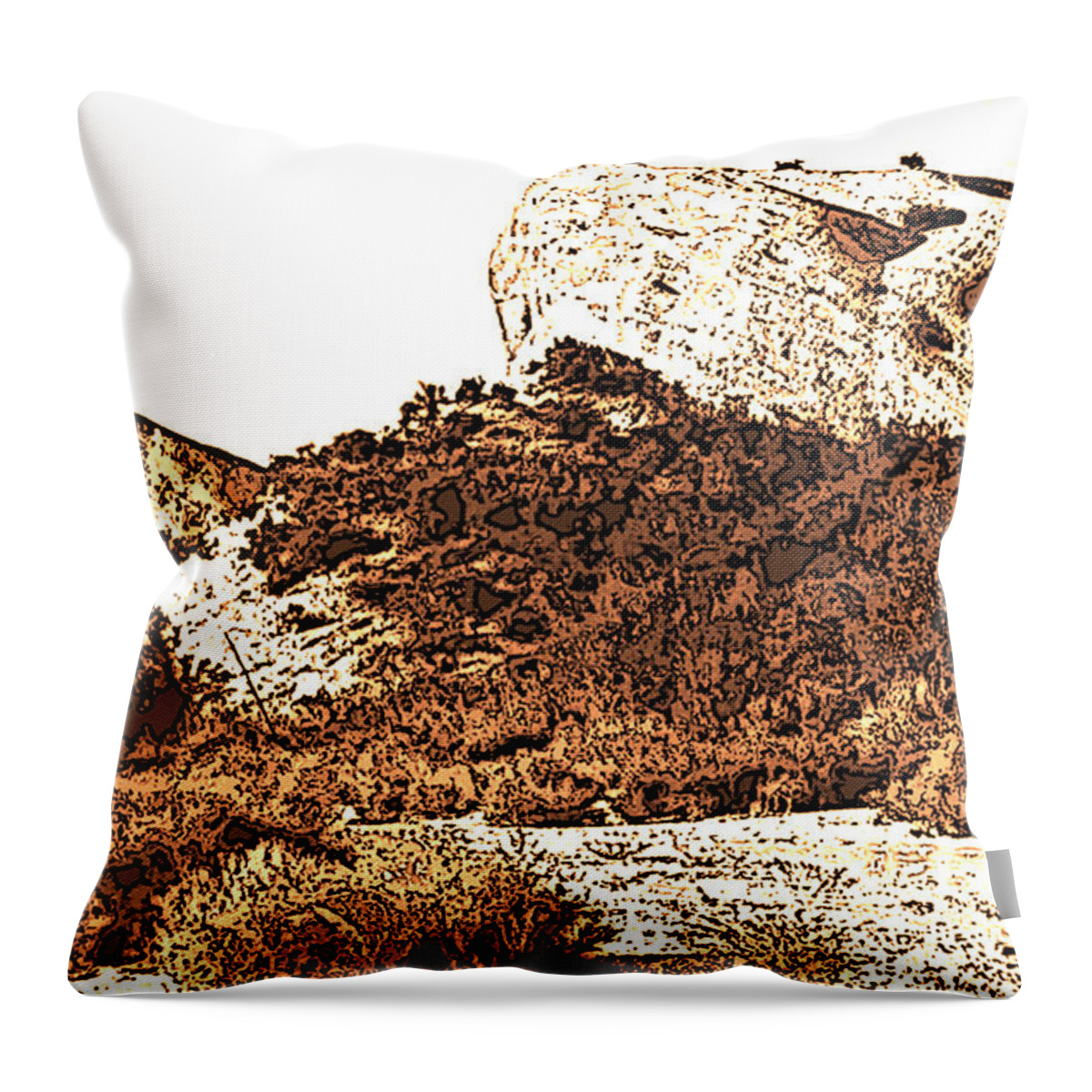 Desert Throw Pillow featuring the photograph Shadows of A Great Rock by Pat Wagner