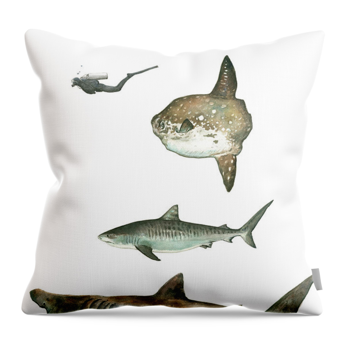Shark Art Throw Pillow featuring the painting Sharks and Mola Mola by Juan Bosco