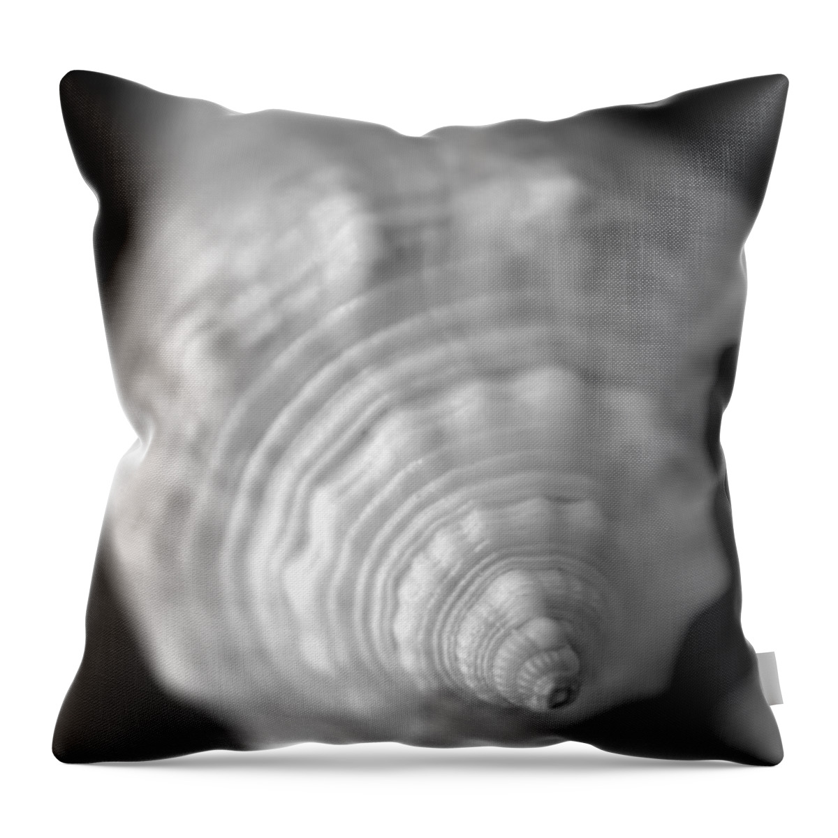 Black And White Throw Pillow featuring the photograph Shell Dream by Chris Scroggins