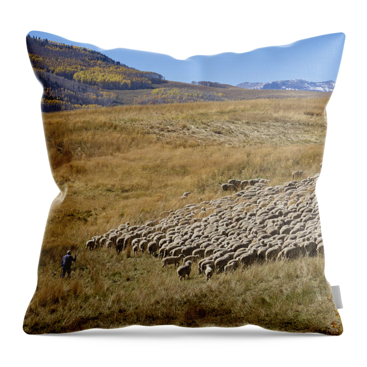 Animals Throw Pillow featuring the photograph Shepherd Moving the Flock - Telluride Colorado by Mary Lee Dereske