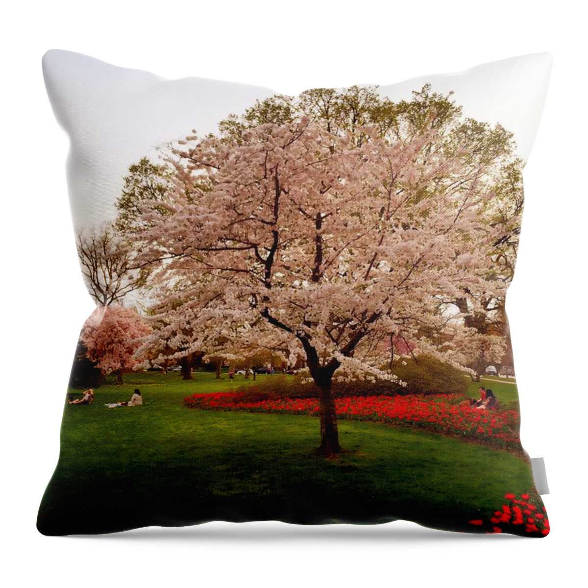Flowers Throw Pillow featuring the photograph Sherwood Gardens 2015 by Chris Montcalmo