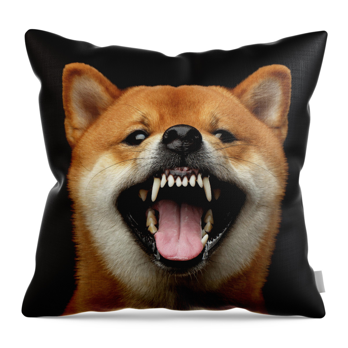 Dog Throw Pillow featuring the photograph Shiba inu growls by Sergey Taran
