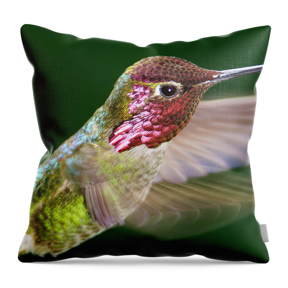 Bird Throw Pillow featuring the photograph Shimmer by Briand Sanderson