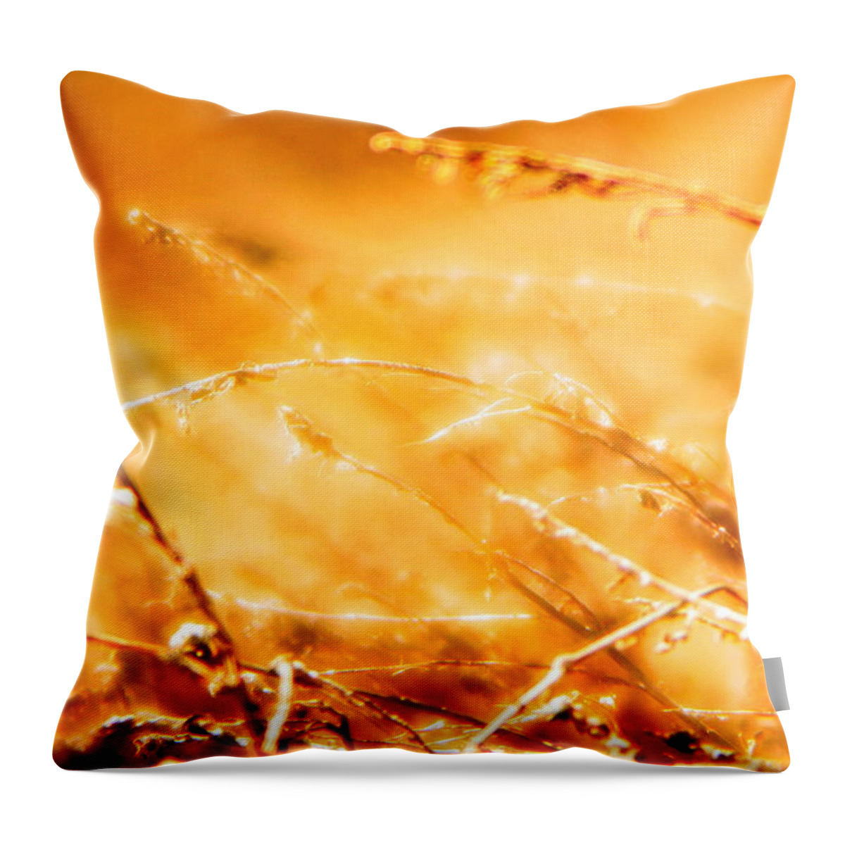 Grass Throw Pillow featuring the photograph Shimmer by Julie Lueders 