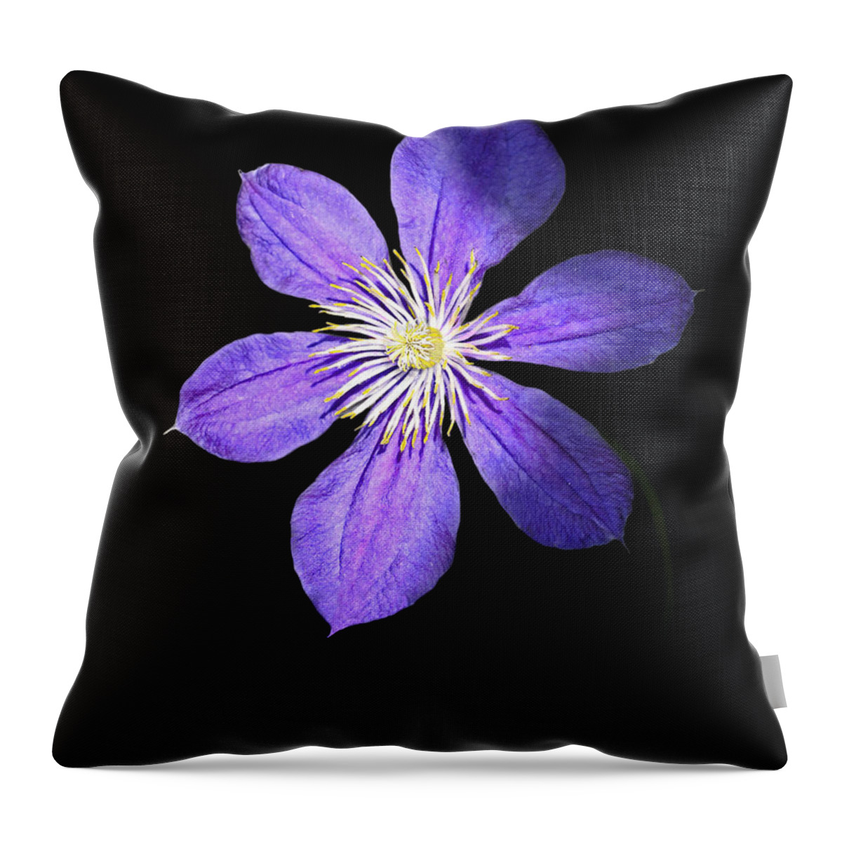 Blue Clematis Flower Throw Pillow featuring the photograph Show Time by Marina Kojukhova