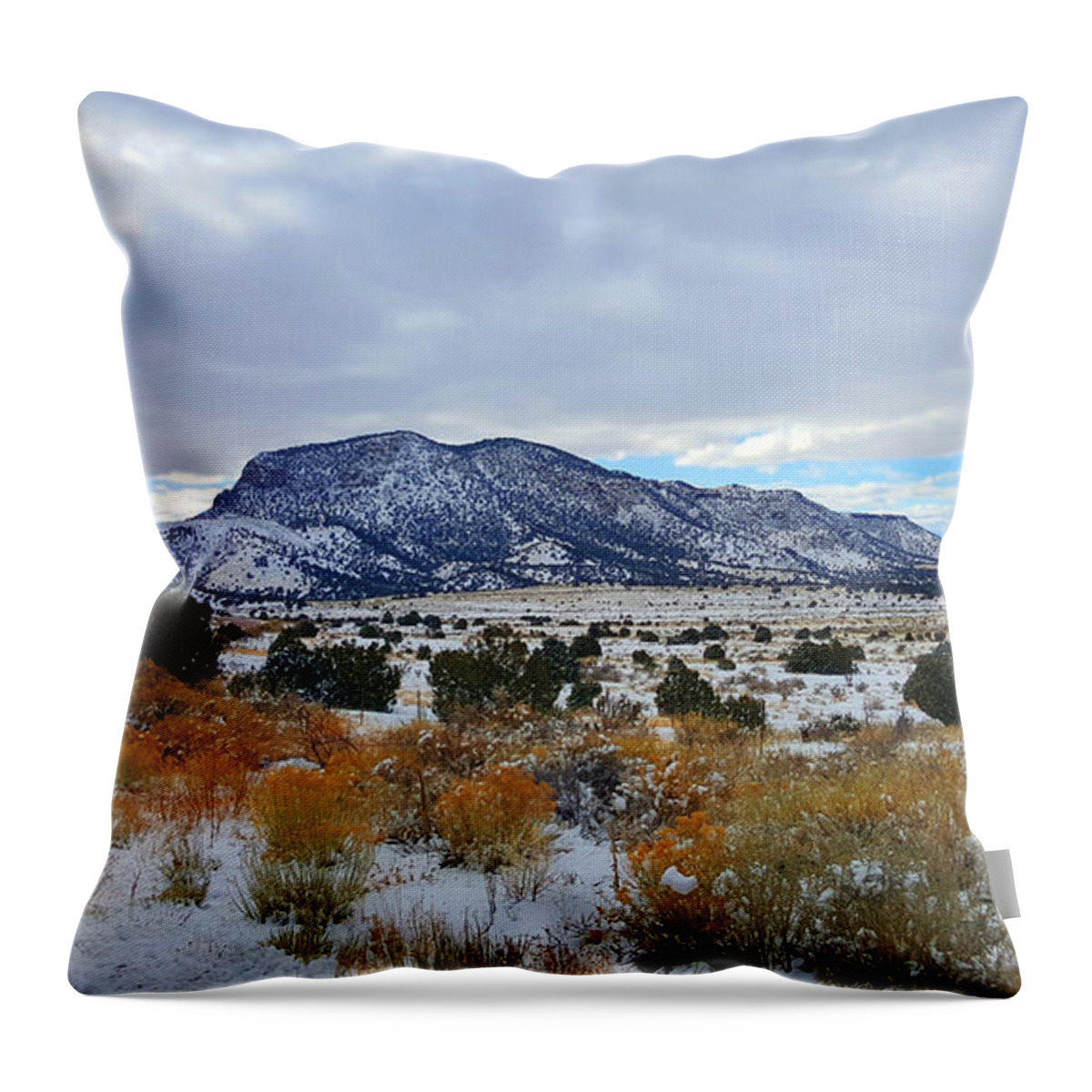 Southwest Landscape Throw Pillow featuring the photograph Side of the road by Robert WK Clark