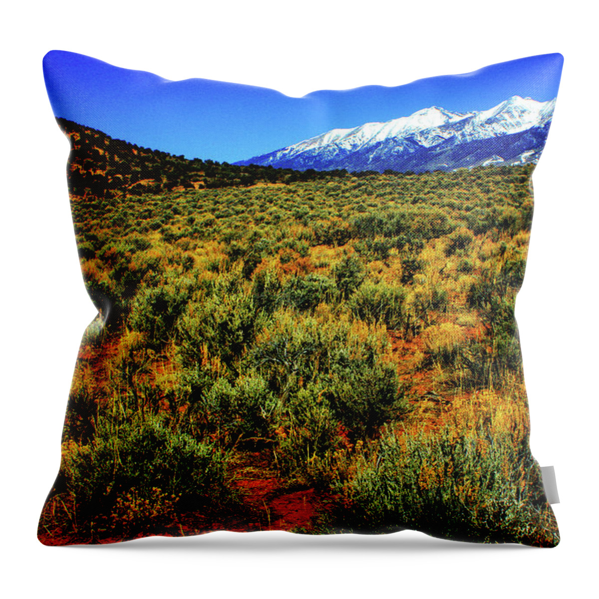 Colorado Throw Pillow featuring the photograph Sierra Blanca by Roger Passman
