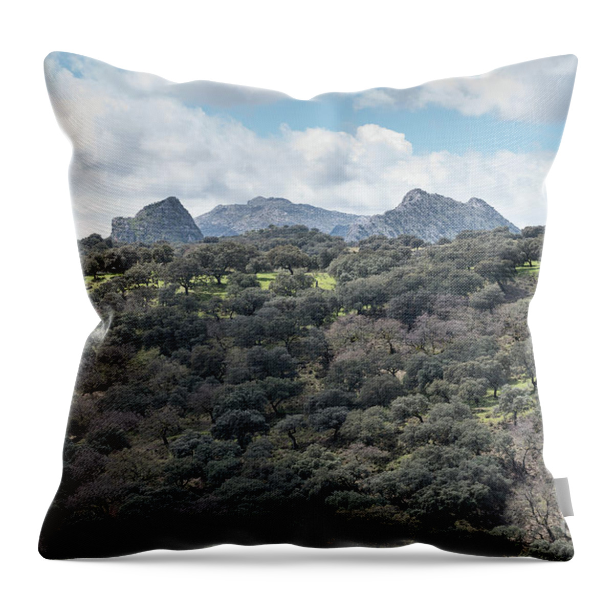 Sierra Throw Pillow featuring the photograph Sierra Ronda, Andalucia Spain by Perry Rodriguez
