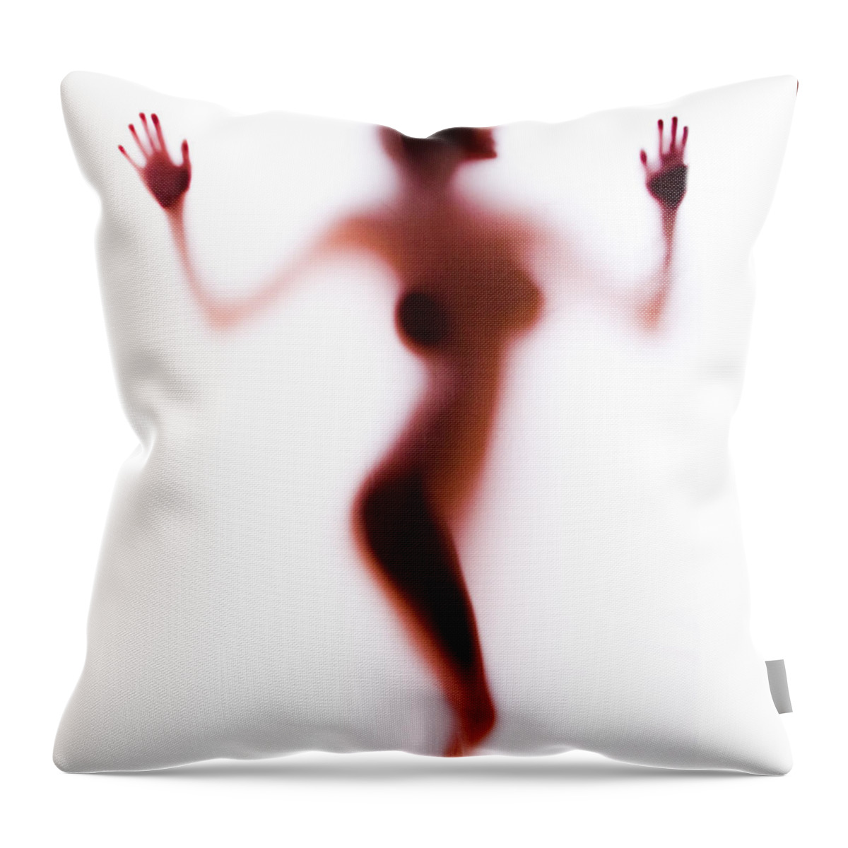 Silhouette Throw Pillow featuring the photograph Silhouette 14 by Michael Fryd