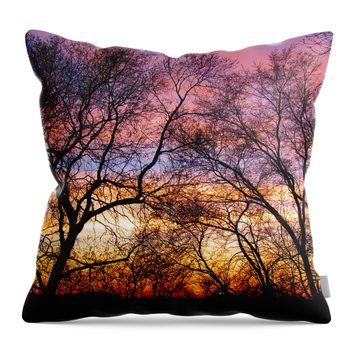 Photograph Throw Pillow featuring the photograph Silhouette Sunset 43017 by Delynn Addams