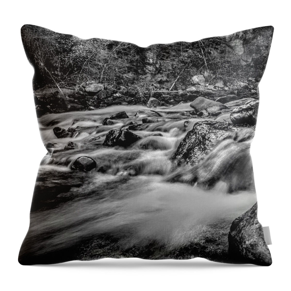 Stream Throw Pillow featuring the photograph Silky Stream by Michael Brungardt
