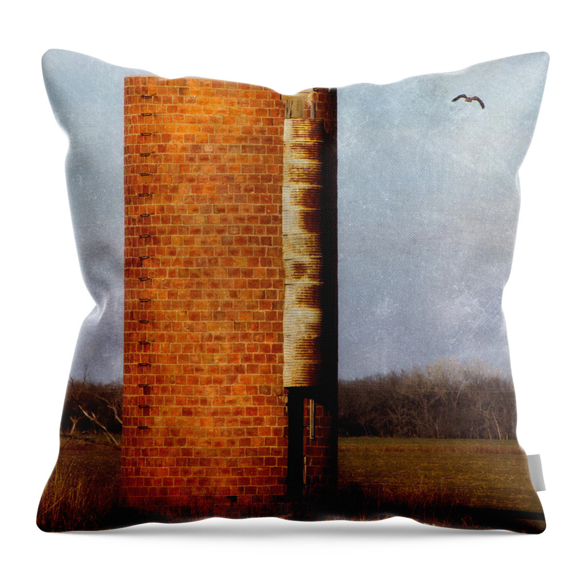 Abandoned Throw Pillow featuring the photograph Silo by Lana Trussell