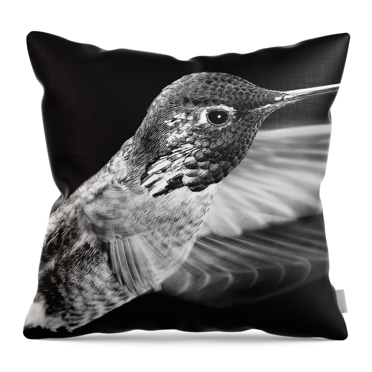 Animal Throw Pillow featuring the photograph Silver Shimmer by Briand Sanderson