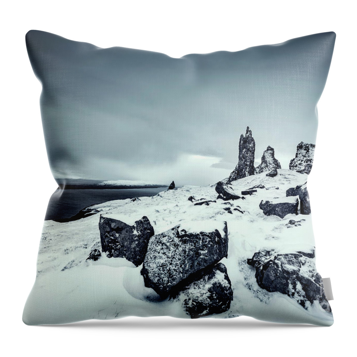 Kremsdorf Throw Pillow featuring the photograph Silver Skye by Evelina Kremsdorf