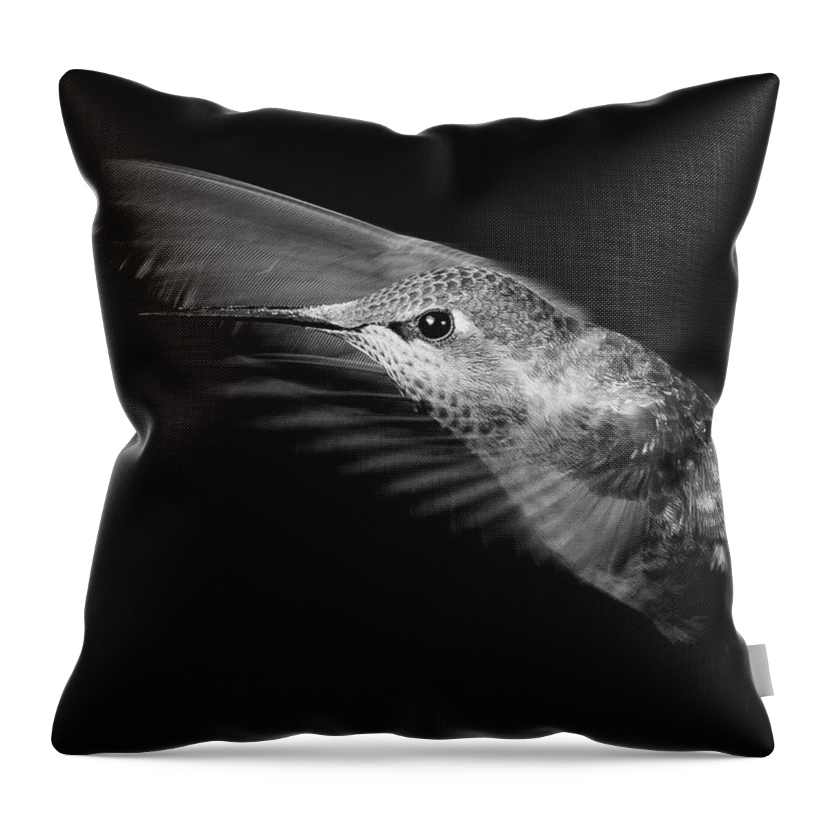 Animal Throw Pillow featuring the photograph Silver Splendor by Briand Sanderson