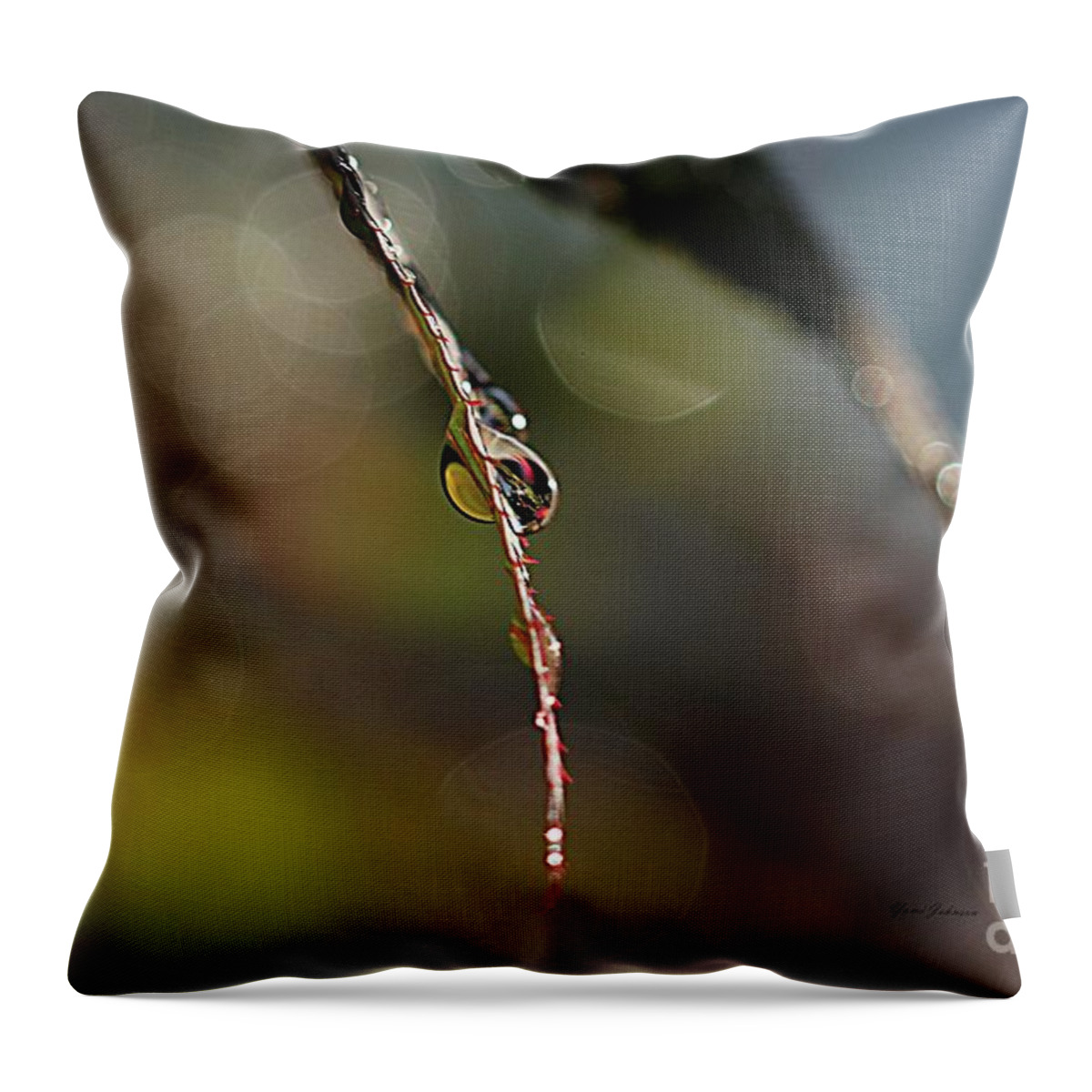 Droplets Throw Pillow featuring the photograph Simple droplet by Yumi Johnson