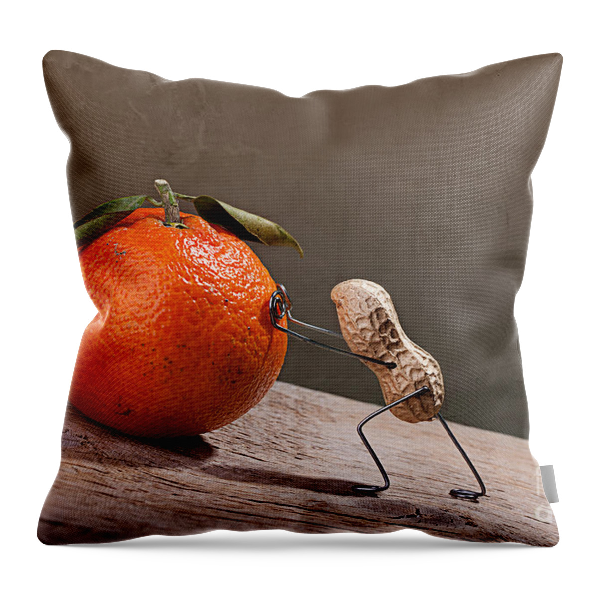 Peanut Throw Pillow featuring the photograph Simple Things - Sisyphos 01 by Nailia Schwarz