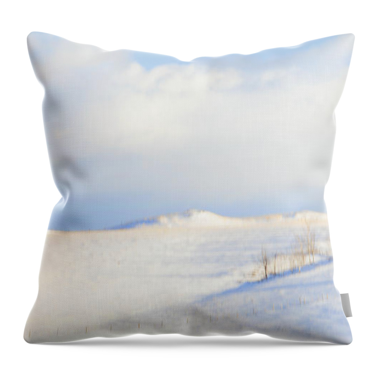 Minimalism Throw Pillow featuring the photograph Simply Snow Landscape by Theresa Tahara