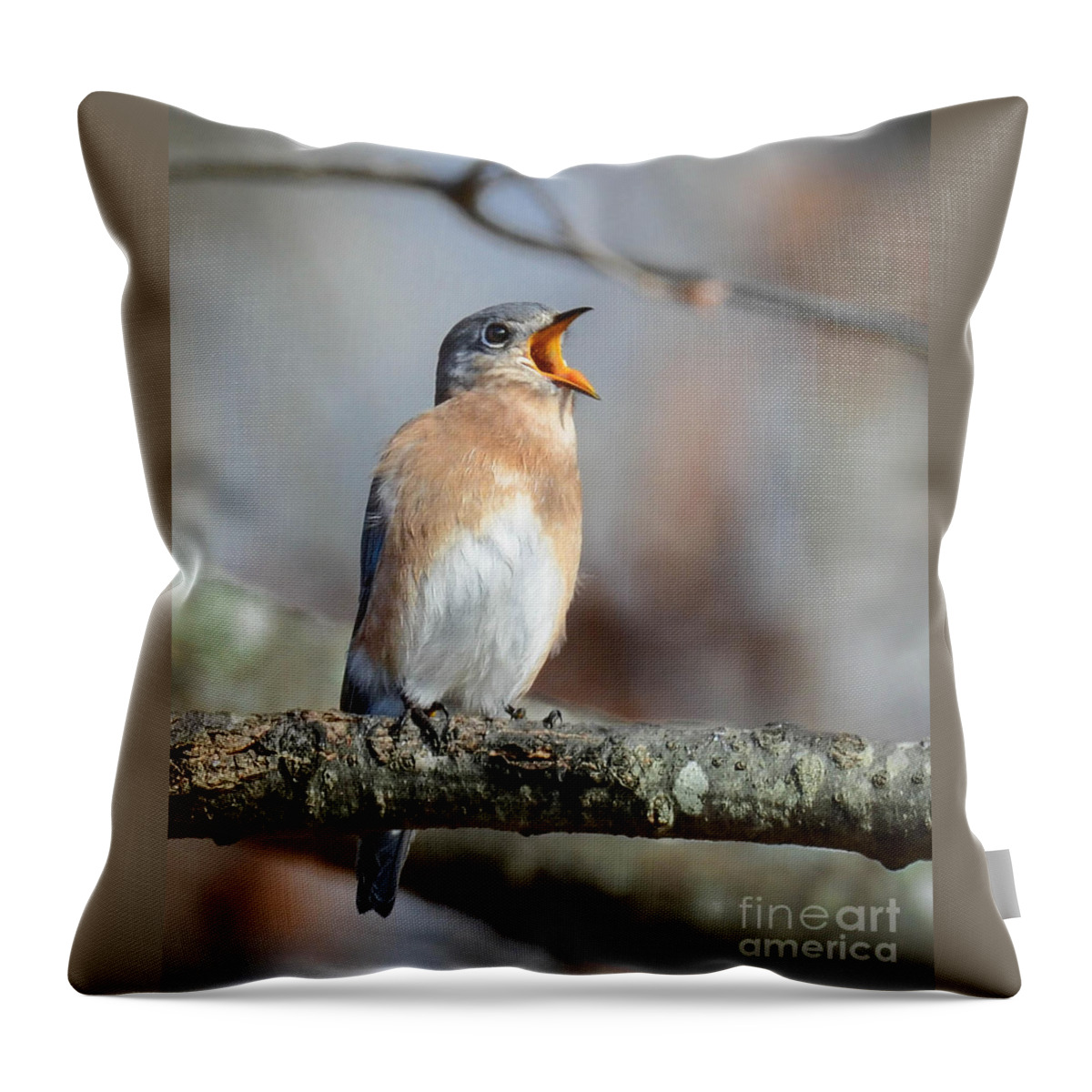 Bluebird Throw Pillow featuring the photograph Singing This Song For You by Amy Porter