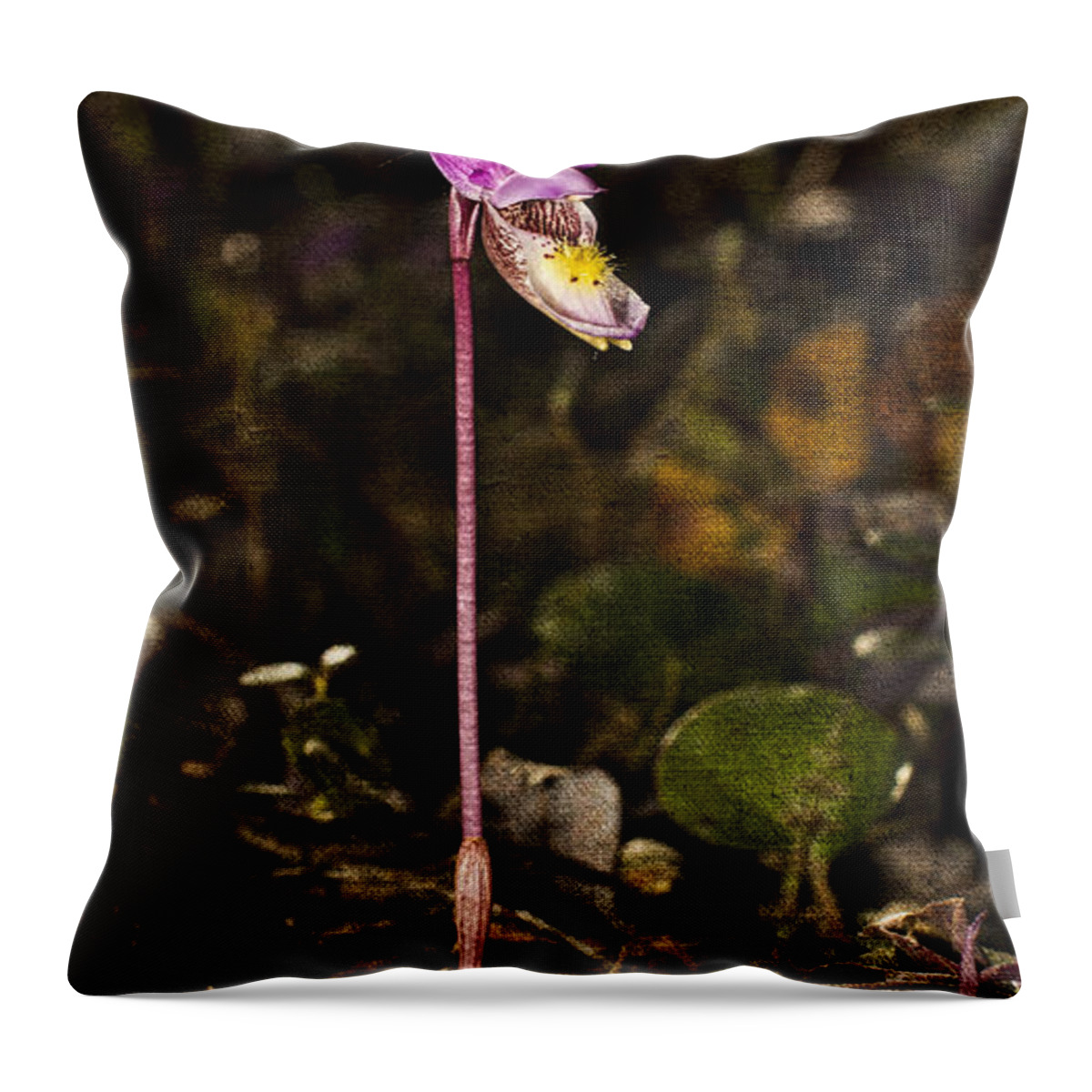 Wildflower Throw Pillow featuring the photograph Single Fairy Slipper by Fred Denner