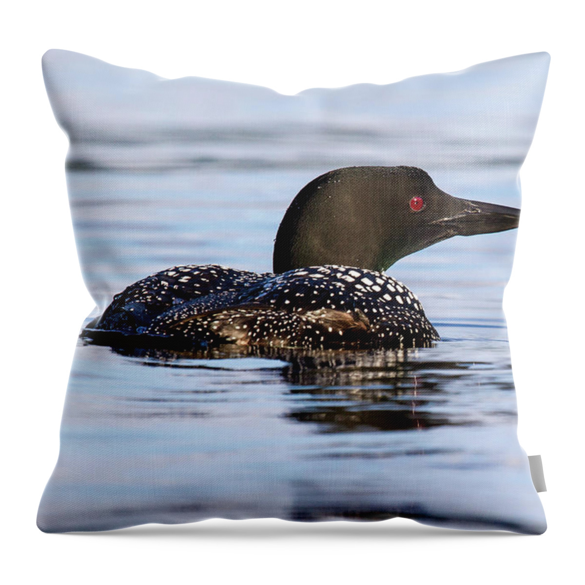 Bird Throw Pillow featuring the photograph Single Loon by Darryl Hendricks