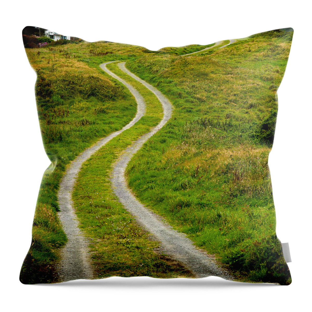 Photography Throw Pillow featuring the photograph Single Track Gravel Road upon a Hill by Andreas Berthold
