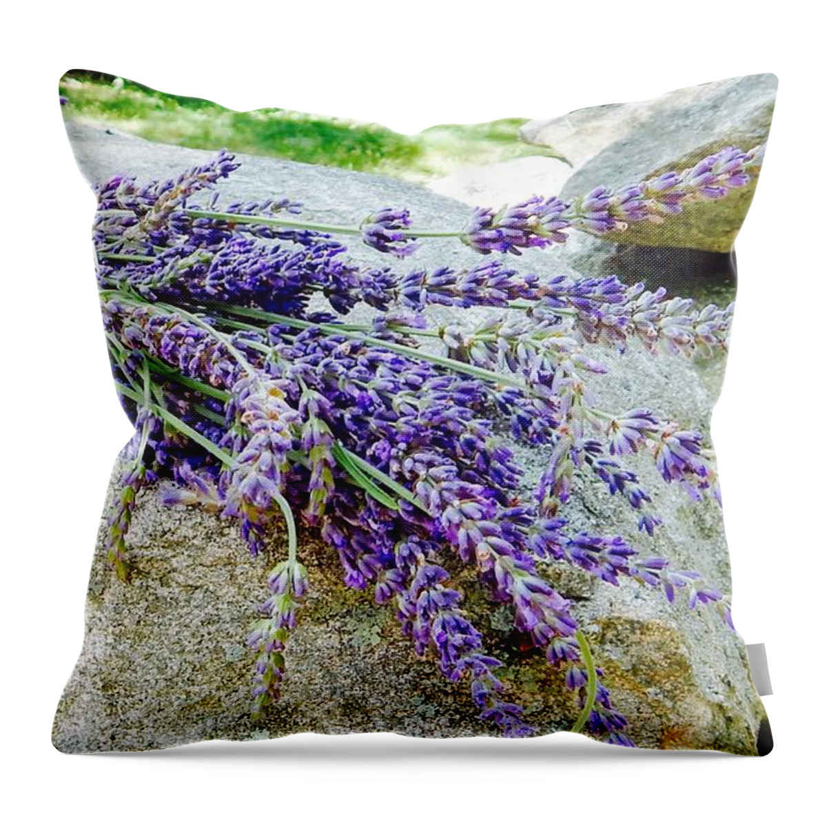 Lavender Throw Pillow featuring the photograph Sitting lavender by Sue Morris