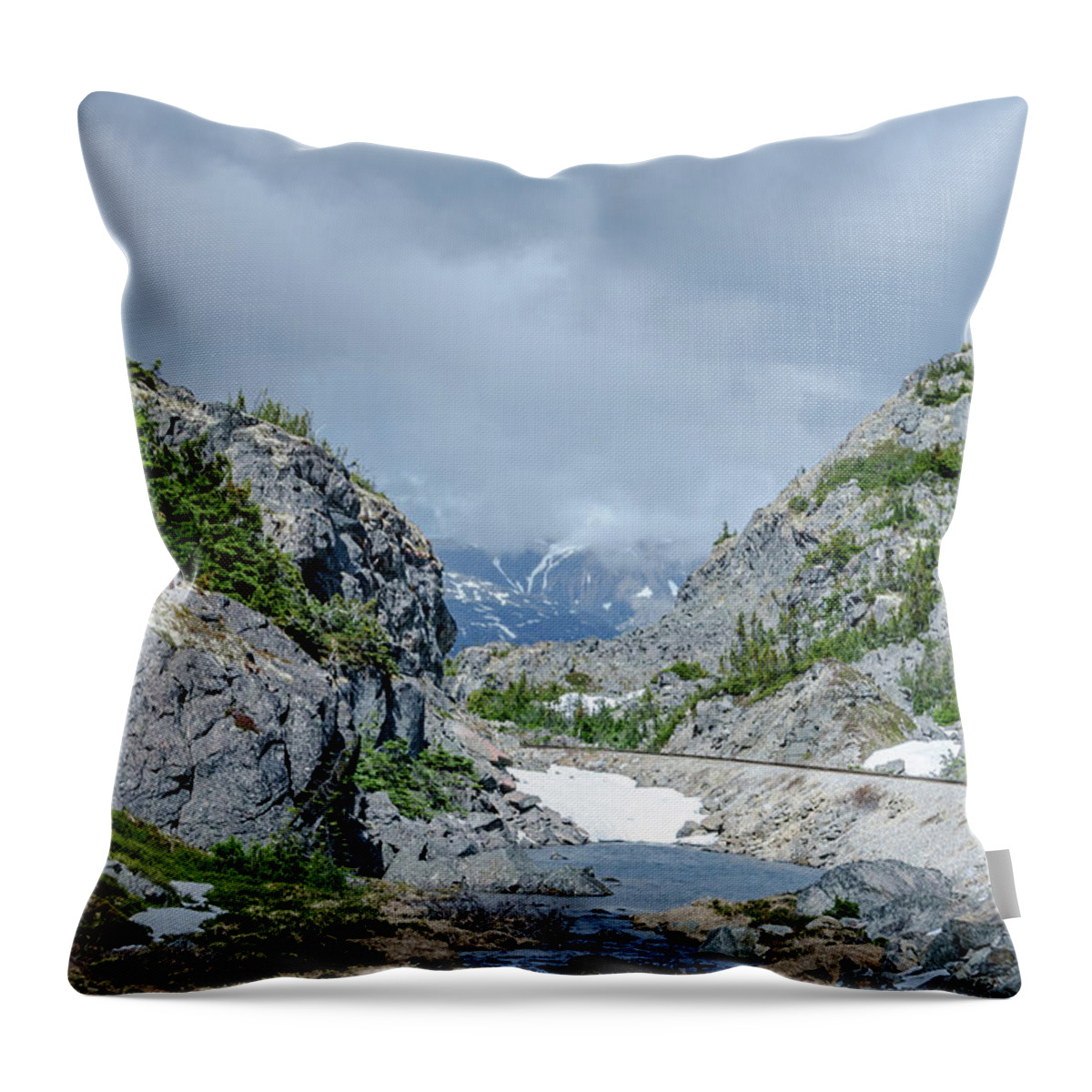  Landscape Throw Pillow featuring the photograph Skagway Alaska by Jaime Mercado