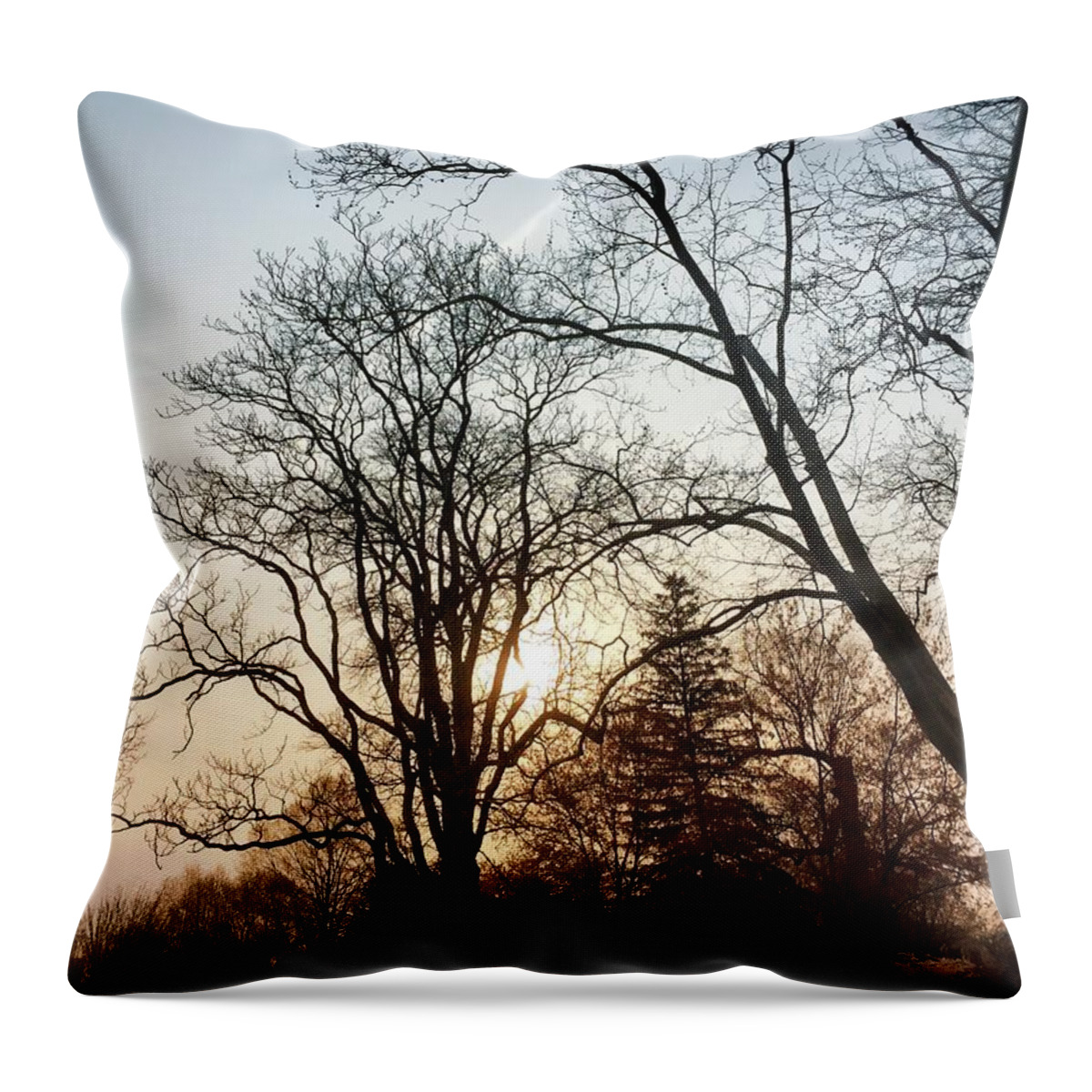 Sky Throw Pillow featuring the photograph Skyscape by Chris Montcalmo