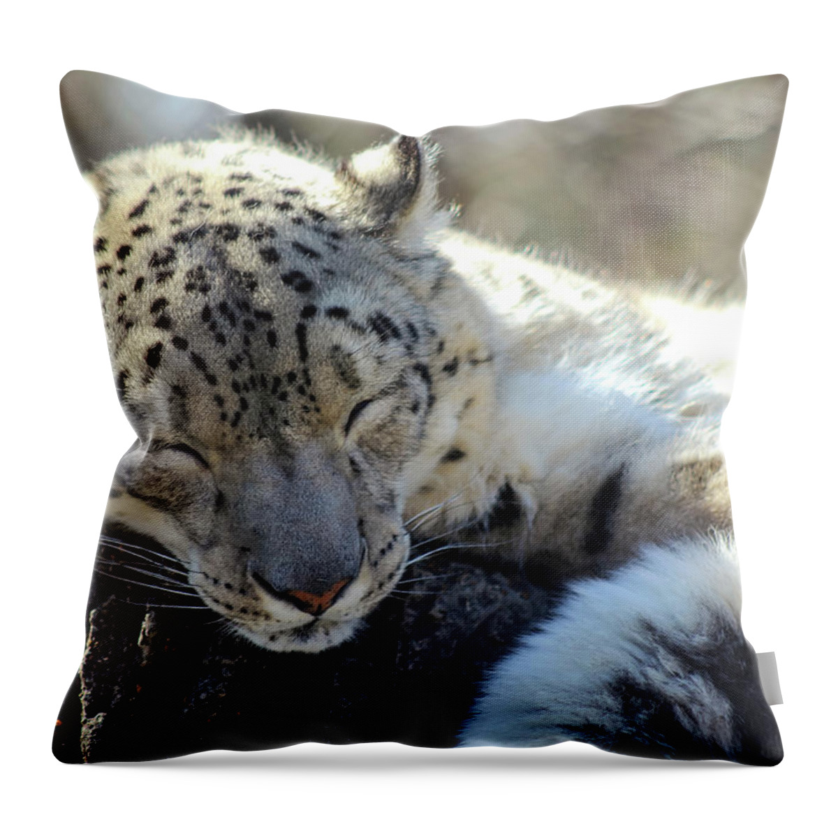Snow Leopard Throw Pillow featuring the photograph Sleeping Snow Leopard by Holly Ross