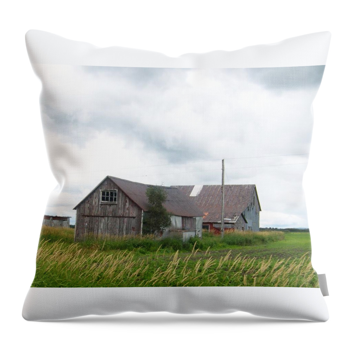 Barn Throw Pillow featuring the photograph Slipping Away by Jackie Mueller-Jones