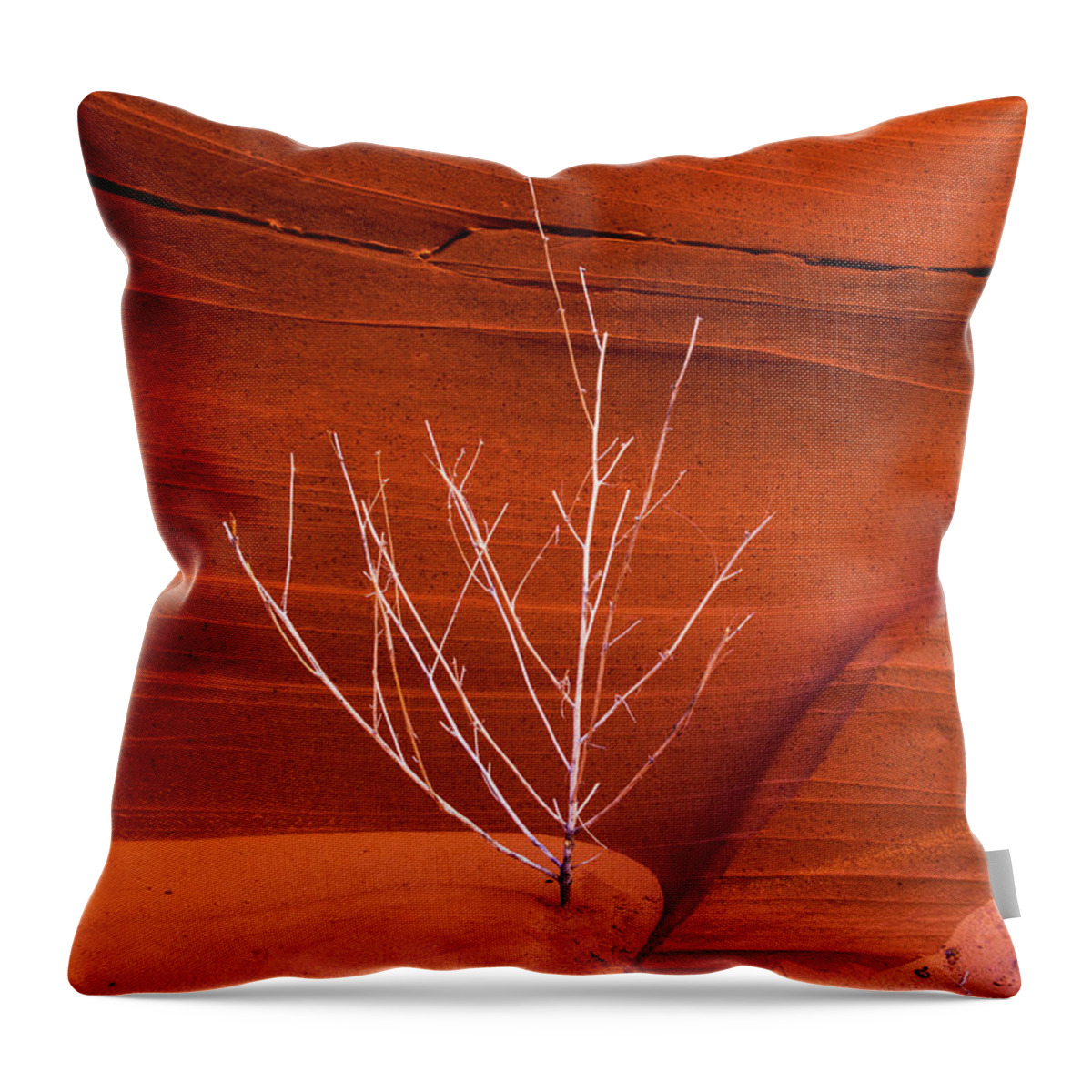 Slot Canyon Throw Pillow featuring the photograph Slot Canyon Sentinel by Lon Dittrick