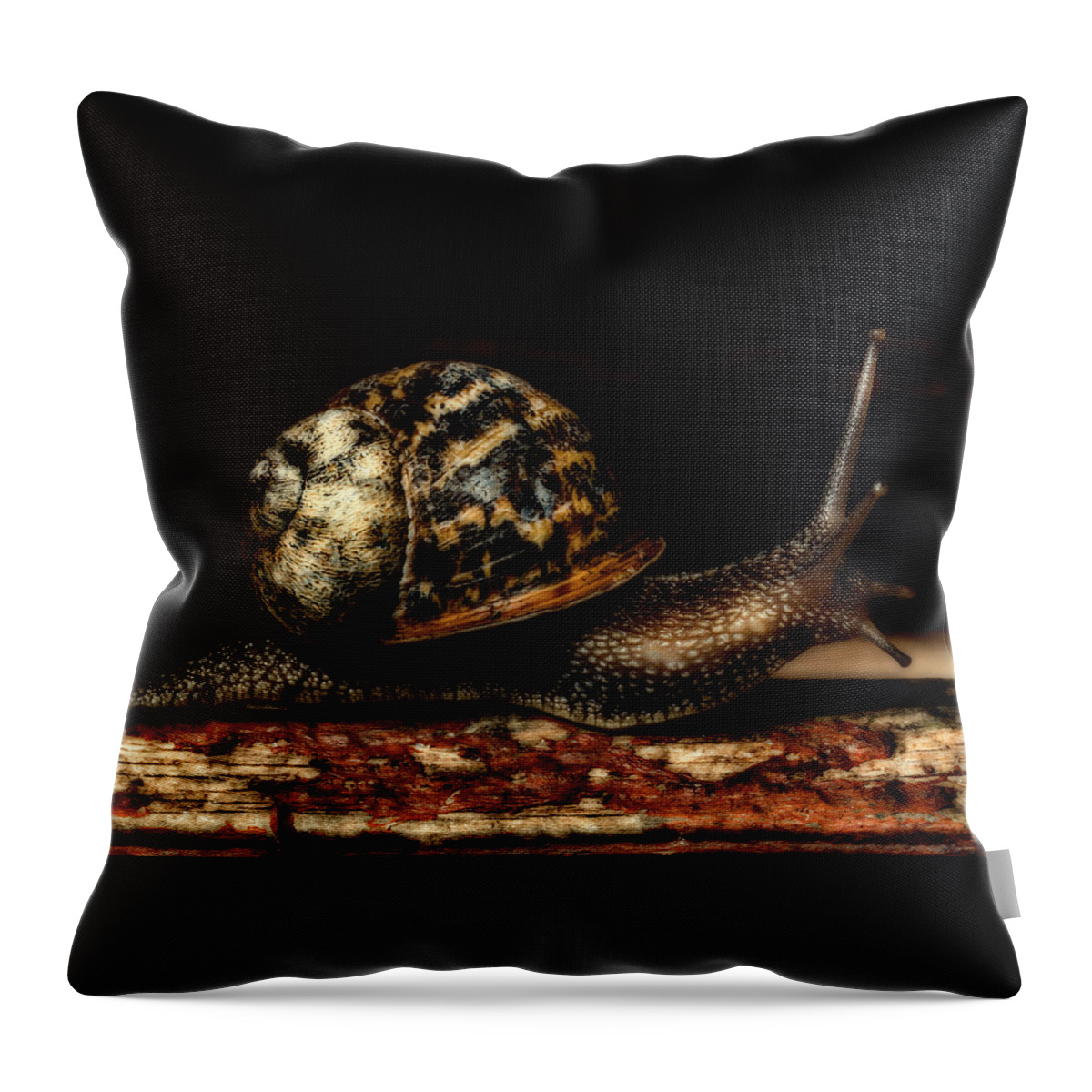 Birds & Animals Throw Pillow featuring the photograph Slow Mover by Nick Bywater