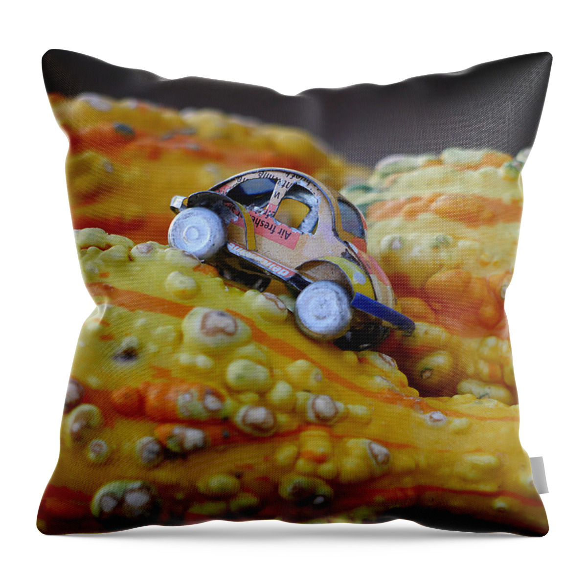 Richard Reeve Throw Pillow featuring the photograph Small Journey by Richard Reeve