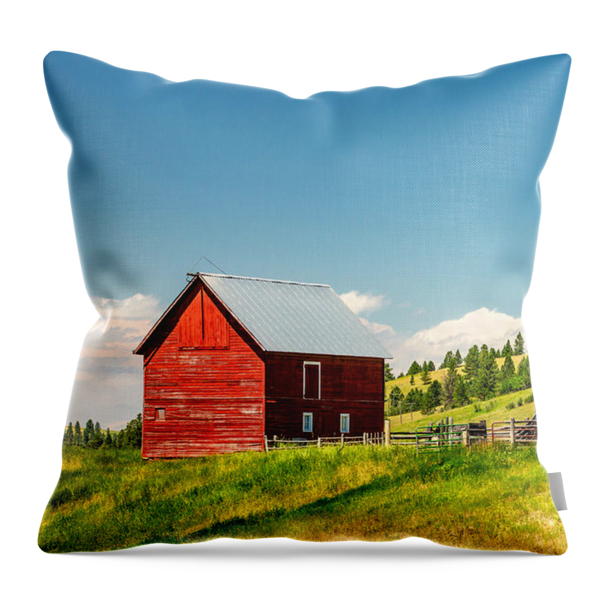 Red Throw Pillow featuring the photograph Small Red Shed by Todd Klassy