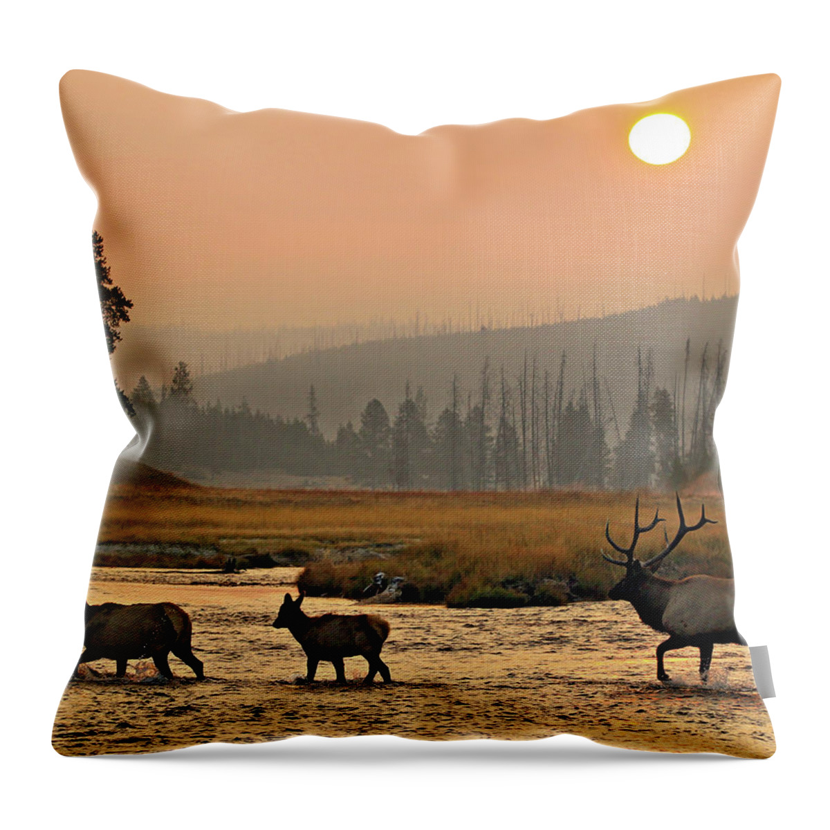 Elk Throw Pillow featuring the photograph Smokey Elk Crossing by Wesley Aston