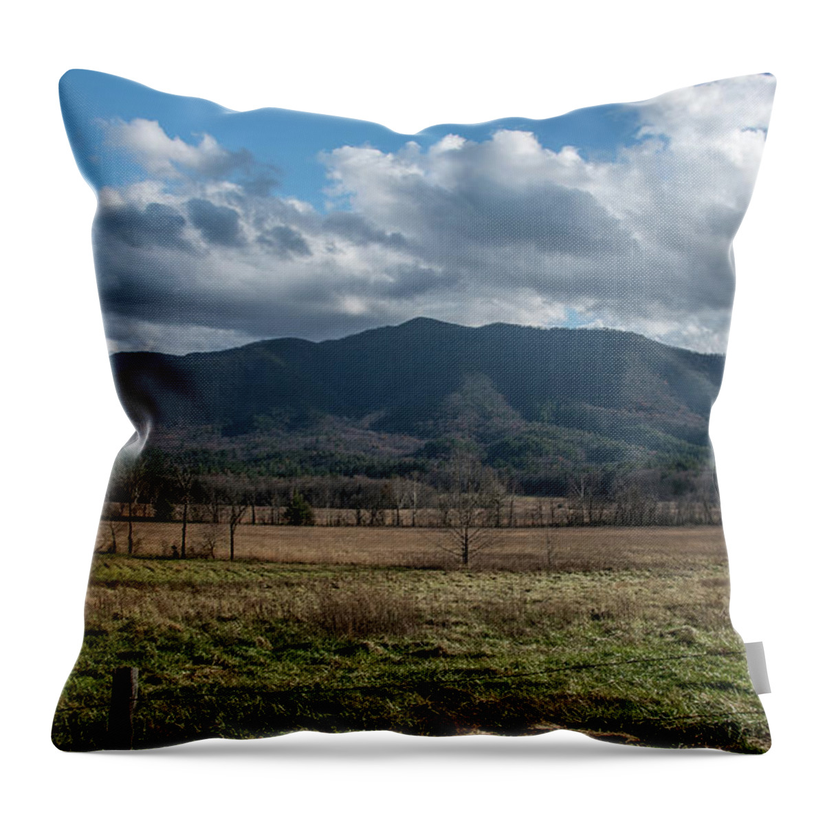 Landscape Throw Pillow featuring the photograph Smoky Mountains by Jaime Mercado
