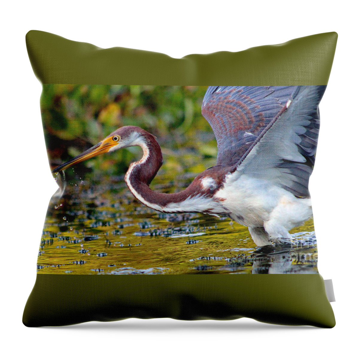 Art Throw Pillow featuring the photograph Snack - Signed by DB Hayes